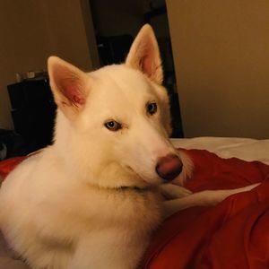 Meet your Posher, April